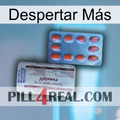 Despertar Más 36